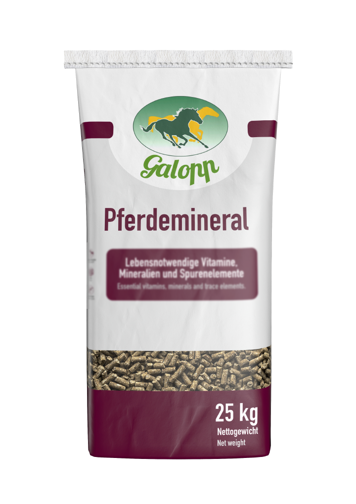 Galopp Pferdemineral